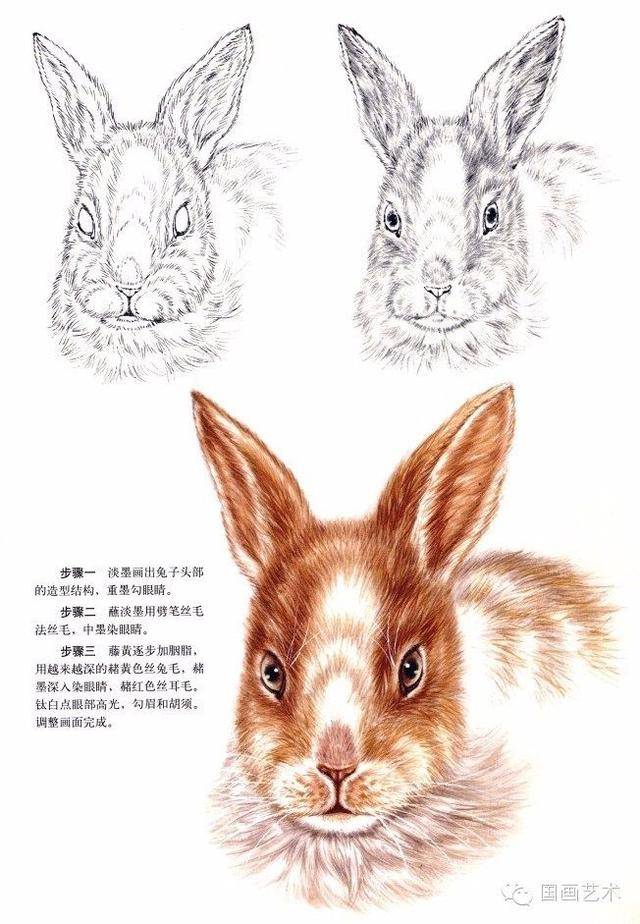 步骤一 浓墨画出兔子头部的造型结构,重墨勾眼睛.