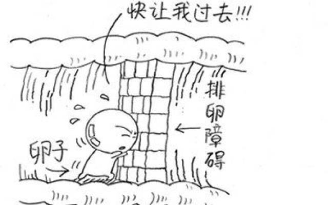 做供卵试管一代二代区别价格
