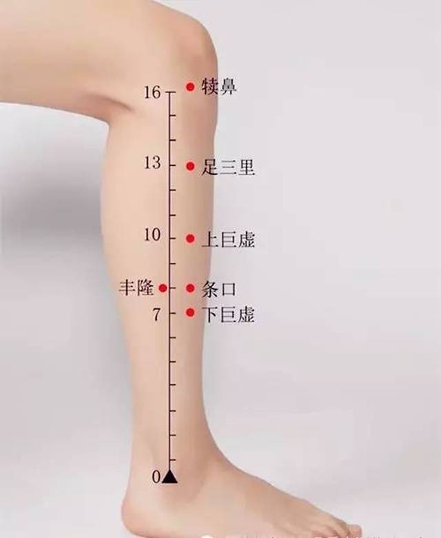 条口穴，舒筋活血