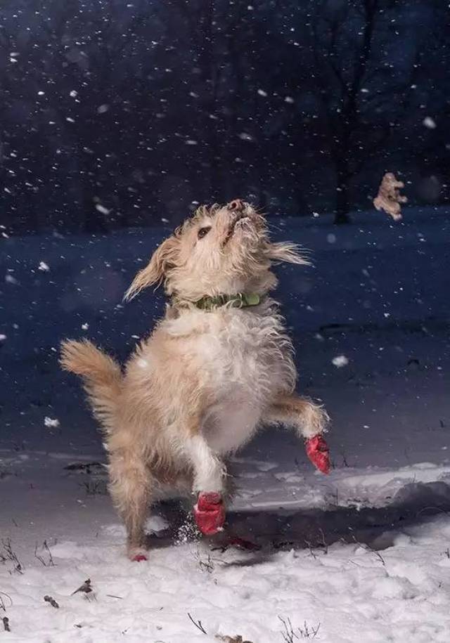 开心得要飞起来