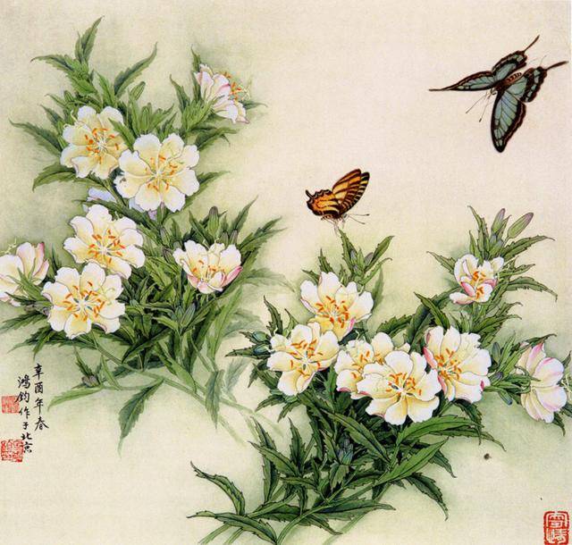 花鸟画工笔的画法 工笔画蝴蝶白描图片上色步骤