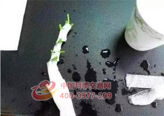 月季花扦插生根慢?教你一招快速生根法!(图3) 月季花扦插生根慢?教你一招快速生根法!(图3)