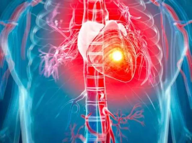 新型4D医学扫描仪,直接透视器官