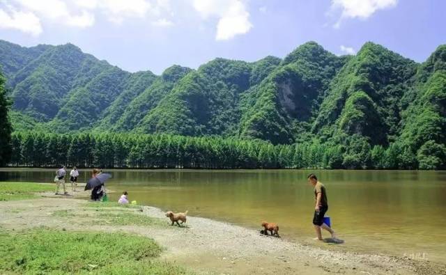 小贴士龙池路线:汉中—南郑县城(周家坪—青树镇—黄官镇