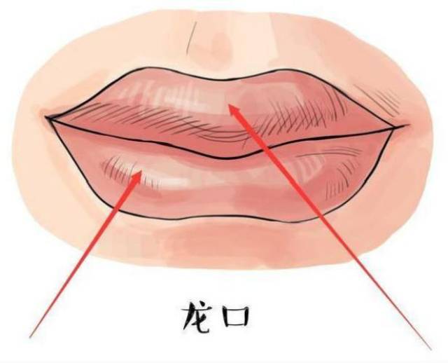 最有福气嘴型排名,居然是它!