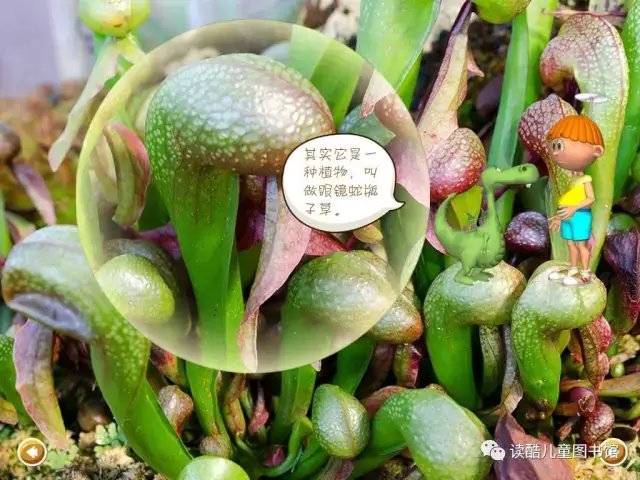 在拟态植物中,骗术最高的当推角蜂眉兰.   别动,我是眼镜蛇