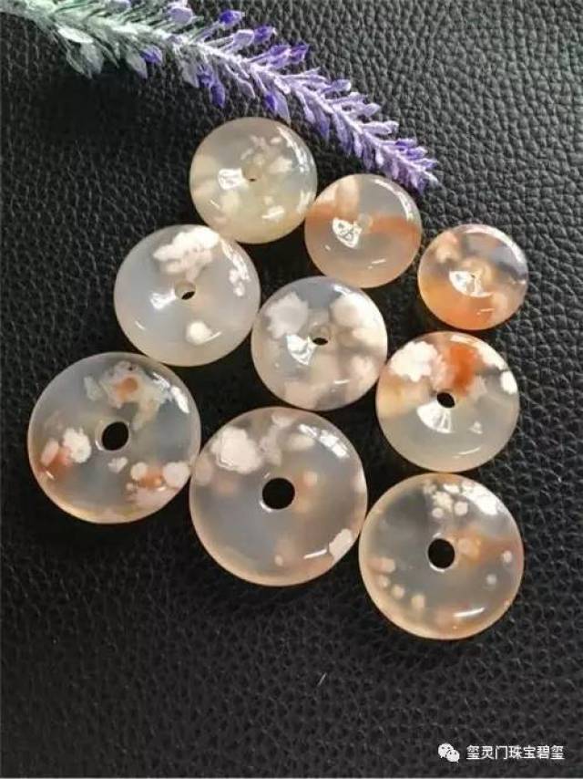 樱花玛瑙-美得你的少女心爆发的小萌物