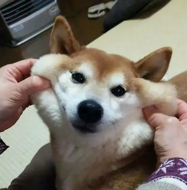 保持微笑!