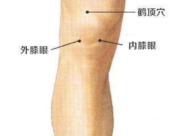 针灸通过什么原理散寒_针灸图片(3)