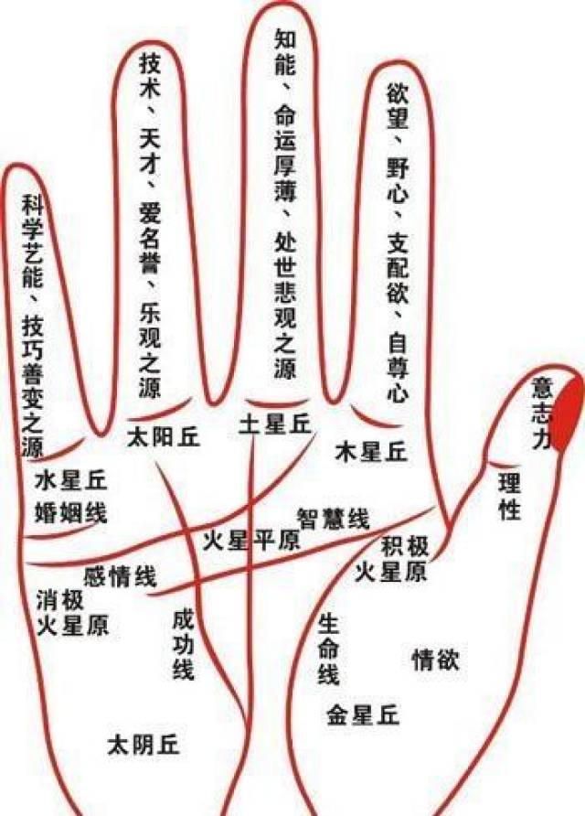 我想学面相和手相,该怎么入门?看什么书自学好?