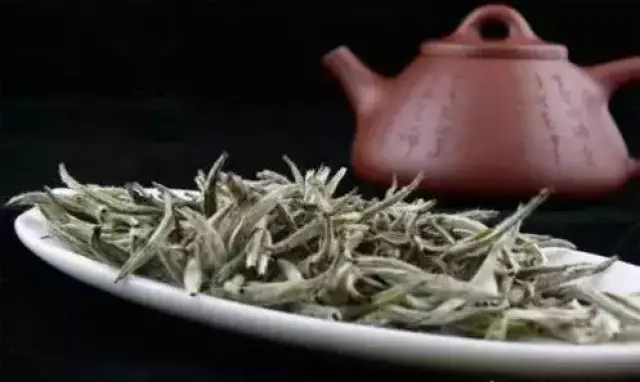 传统茶叶焕发活力！宜居贡茶借“酉阳800”区域公用品牌东风jbo竞博app官网破圈出局(图1)