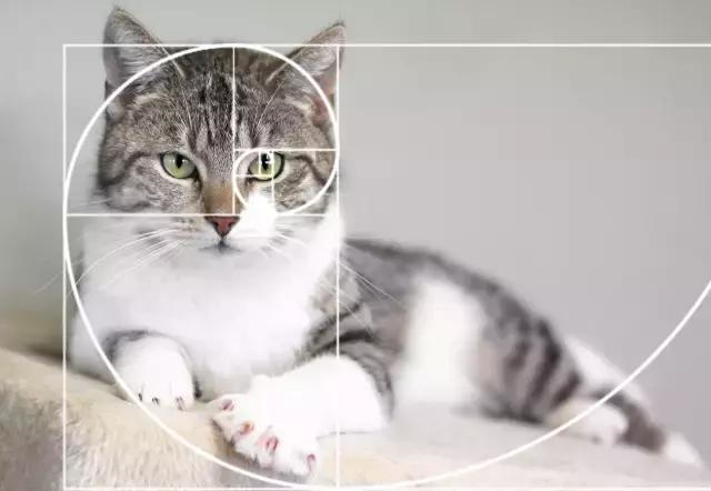 聊构图就是摄影新手?有这看法你还不入流!呵呵