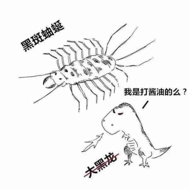 黄皮子坟,也许是最好看的一部鬼吹灯! 漫画剧情