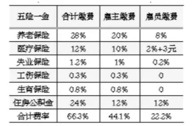 中国劳动人口三险缴纳比例_中国人口结构比例图(3)