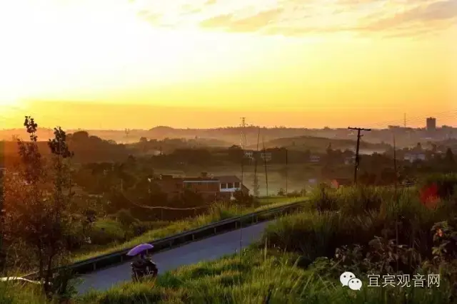 "宜宾乡坝坝头"这么美丽的地方——白花镇!