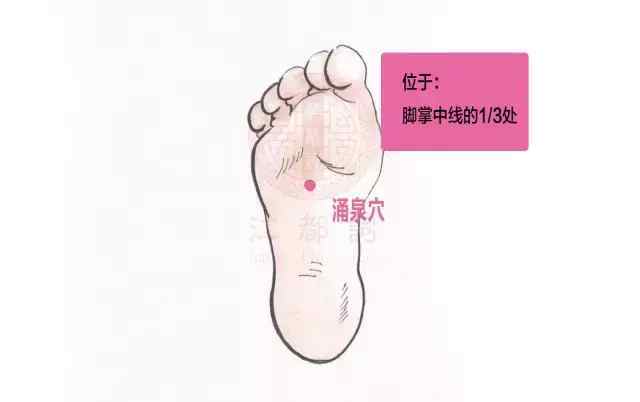 ①肾腧穴 在脊柱区,第2腰椎棘突下,后正中线旁开1.5寸, 命门旁开1.