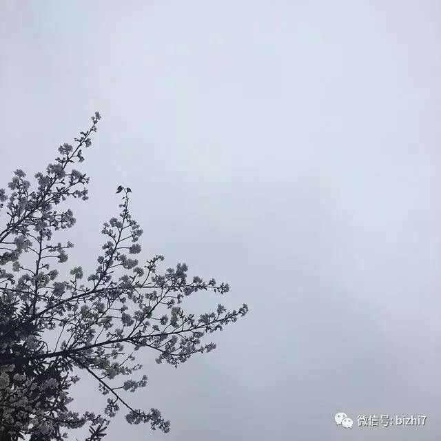 背景图朋友圈高清背景 0cd1500b3251424291df80db5d5e2da8.jpeg