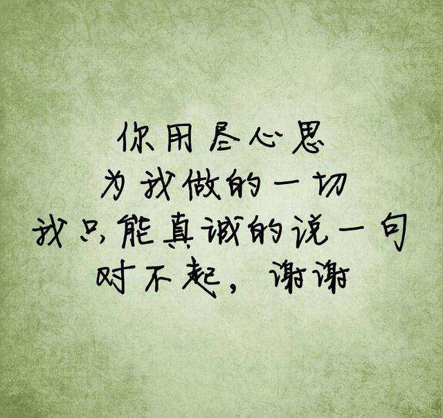 你用尽心思为我做的一切,我只能真诚的说一句,对不起,谢谢