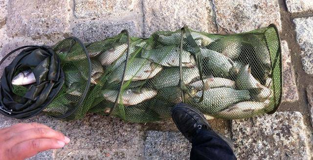 钓鱼匠分分钟教你1招自制钓鱼饵料的技巧!让你