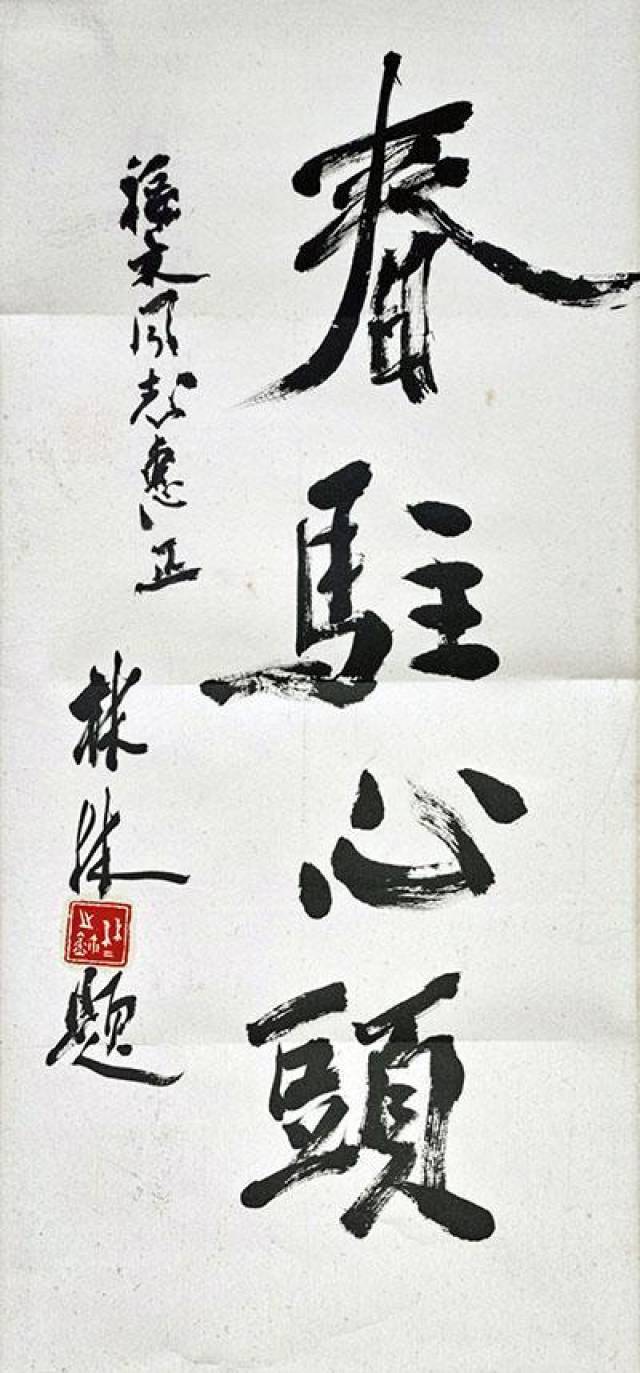 中书协第一届副主席,作家,101岁林林书法欣赏