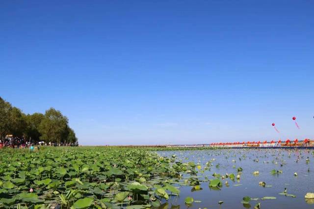 这是电视剧《圣水湖畔》的拍摄基地,也是查干湖最著名的景点.