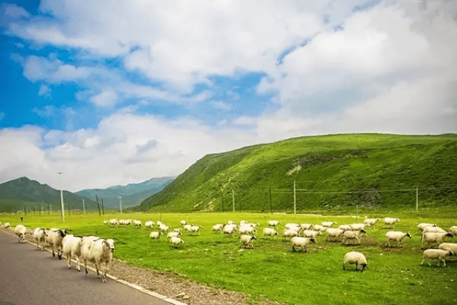 中国最美大草原 c03e68245c2a42199276e3537da00f52.jpg