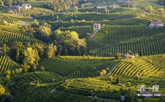意大利最重要的葡萄酒产区威尼托(Veneto)