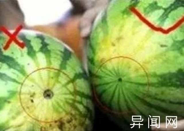 f12a582650d84478ae5ff839de6381b0.jpeg