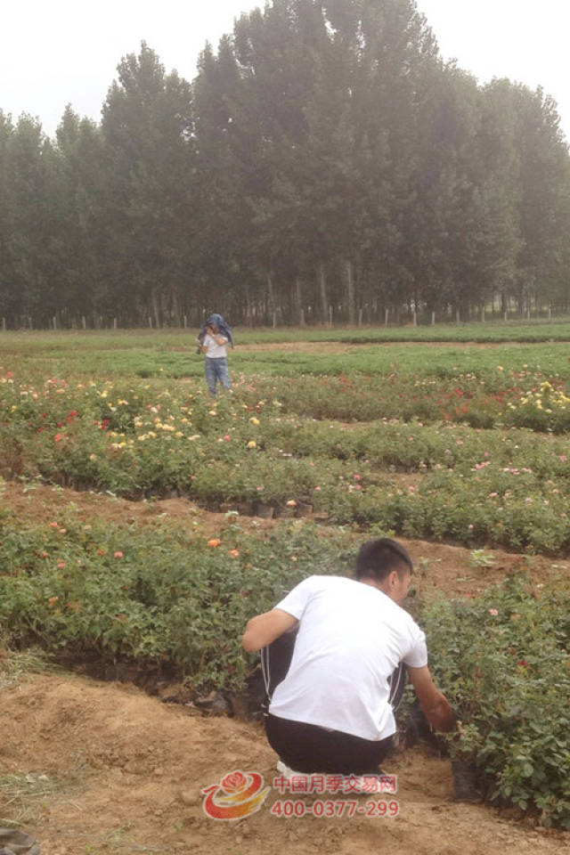 三伏天 烈日下的他(她)们 需要您点赞!(图1) 三伏天 烈日下的他(她)们 需要您点赞!(图1)