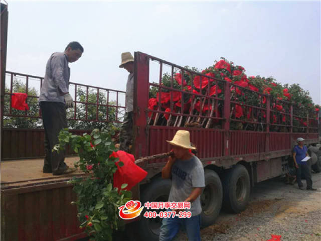 三伏天 烈日下的他(她)们 需要您点赞!(图2) 三伏天 烈日下的他(她)们 需要您点赞!(图2)