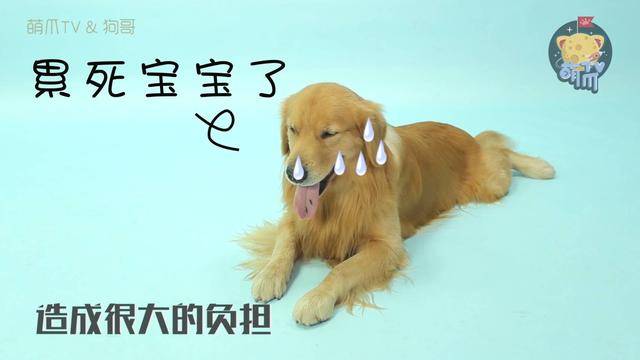 0d900ccc299e42f7a01161b0823493bd.jpeg
