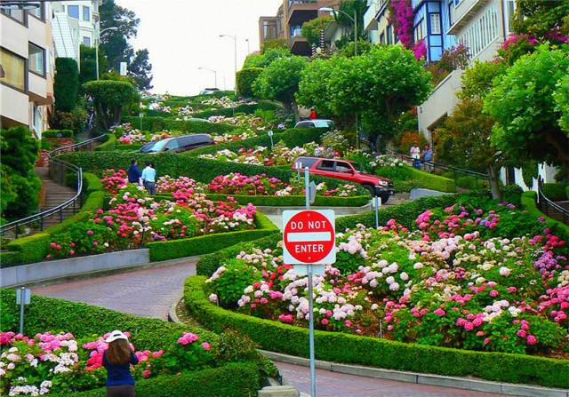 九曲花街 lombard street