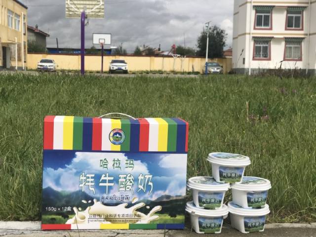 红原电商中心——哈拉玛牦牛酸奶