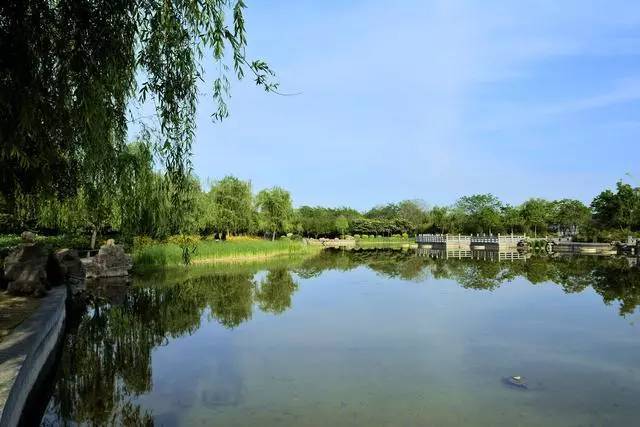 郑州黄河国家湿地公园具有典型的河流湿地生态系统,动植物资源丰富