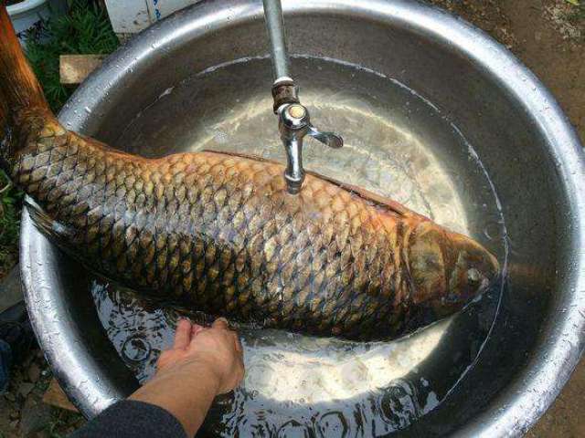 d21a9f4b4f864431b16f615e973e8159.jpeg