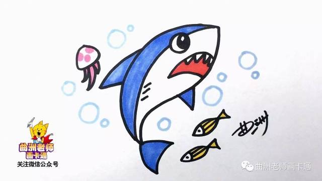 少儿简笔画:鲨鱼 | 曲洲老师画卡通