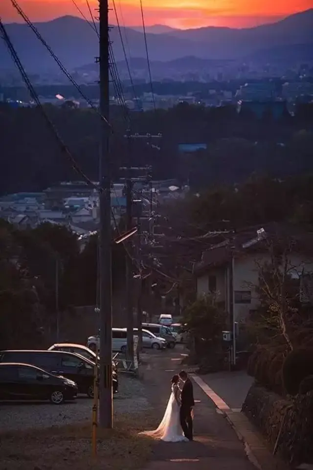 从正面打光,压暗环境,突出主体