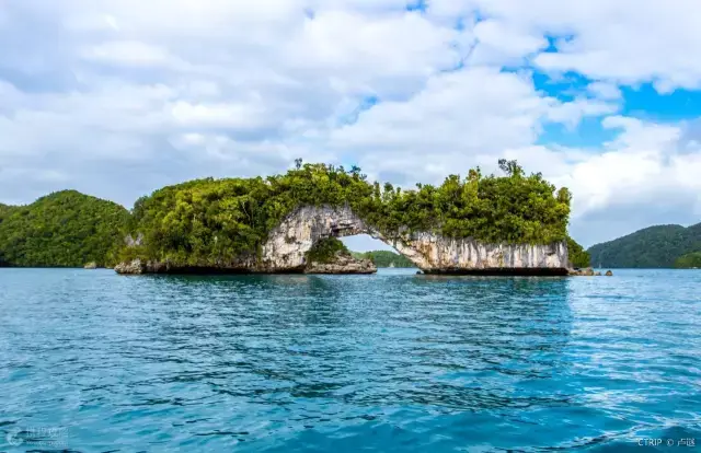 花开旅行:看帕劳美景,轻松治愈周一综合征