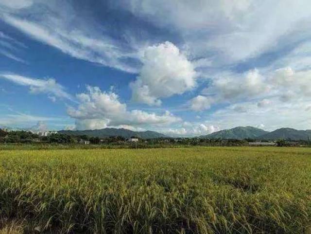 盛世美颜说的不是脸,嫌自己丑的女孩请给我三