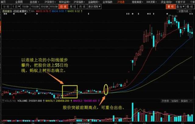 一文详解抓牛股绝招"蚂蚁上树",遇见一抓一个准