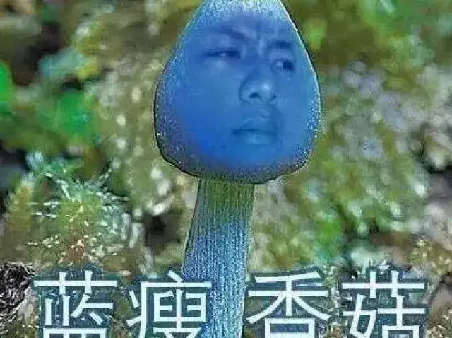 十年网络流行语全记录,折射社会变迁