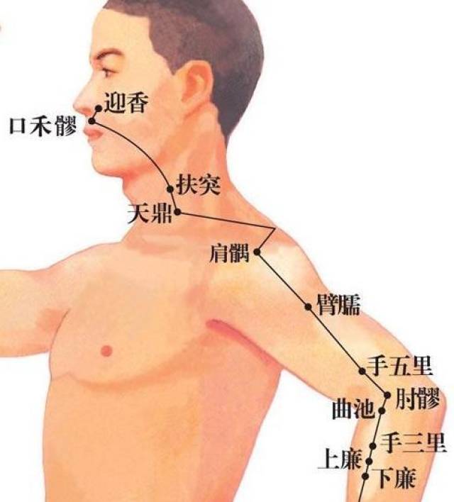 超实用的88个精选穴,一病对应的最有效的穴位图解