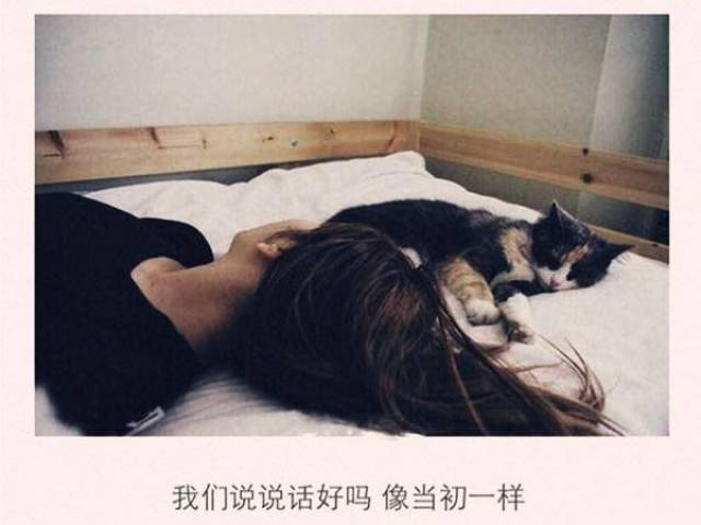 你听过最孤独的一句话是什么?