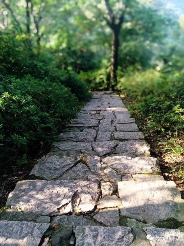 莫干山体育休闲公园(海拔260米)→下庄岭(312米)→阴山顶→长路上(242