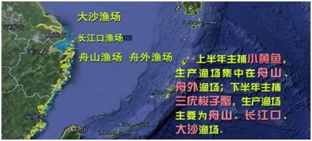 监管基础,因此我们最终选择了浙北渔场的三疣梭子蟹作为捕捞限额试点.