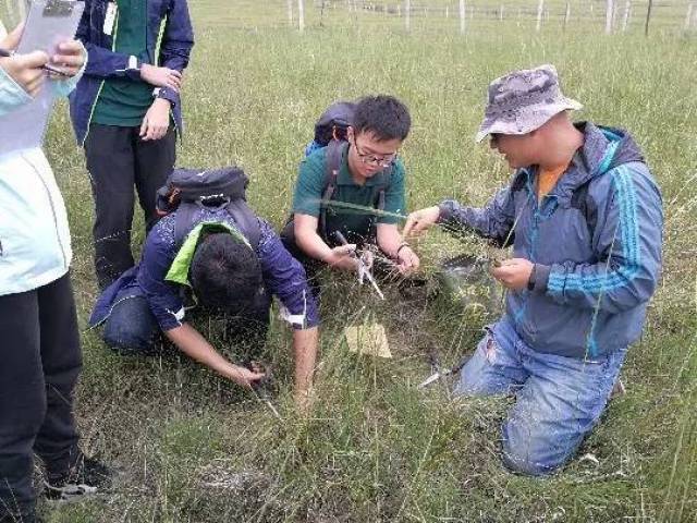 最新动态 英才计划开展草原生态系统综合野外科学考察活动