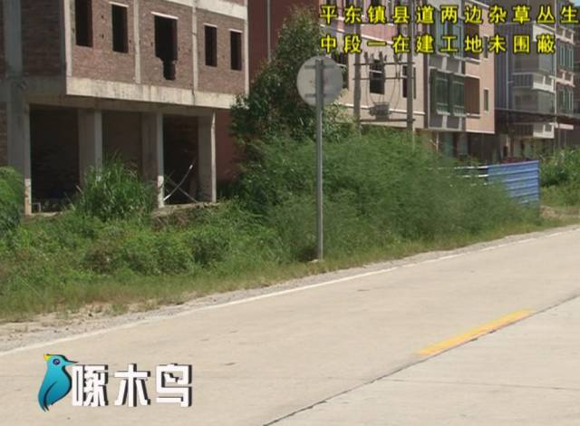 海丰黄羌,平东,黄羌林场,梅陇,联安,梅陇农场上"双创"暗访曝光栏(视频