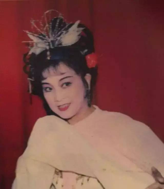 王凤枝精选黄梅戏唱段16段(相册视频加字幕)