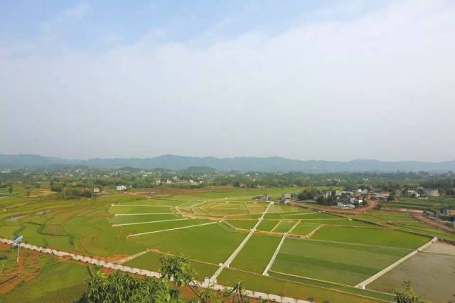 让"沉睡"的宅基地"流动"起来 泸县农村土地制度改革三项试点试出经验