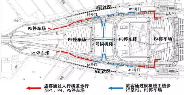 【旅游情报】今明两天到广州白云机场咋接人?快看这里